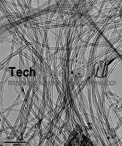 Carbon Nanotube Array img